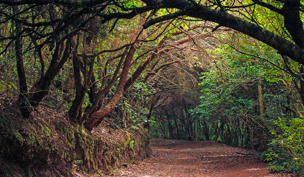 biodiversidad espacio natural protegido red natura 2000