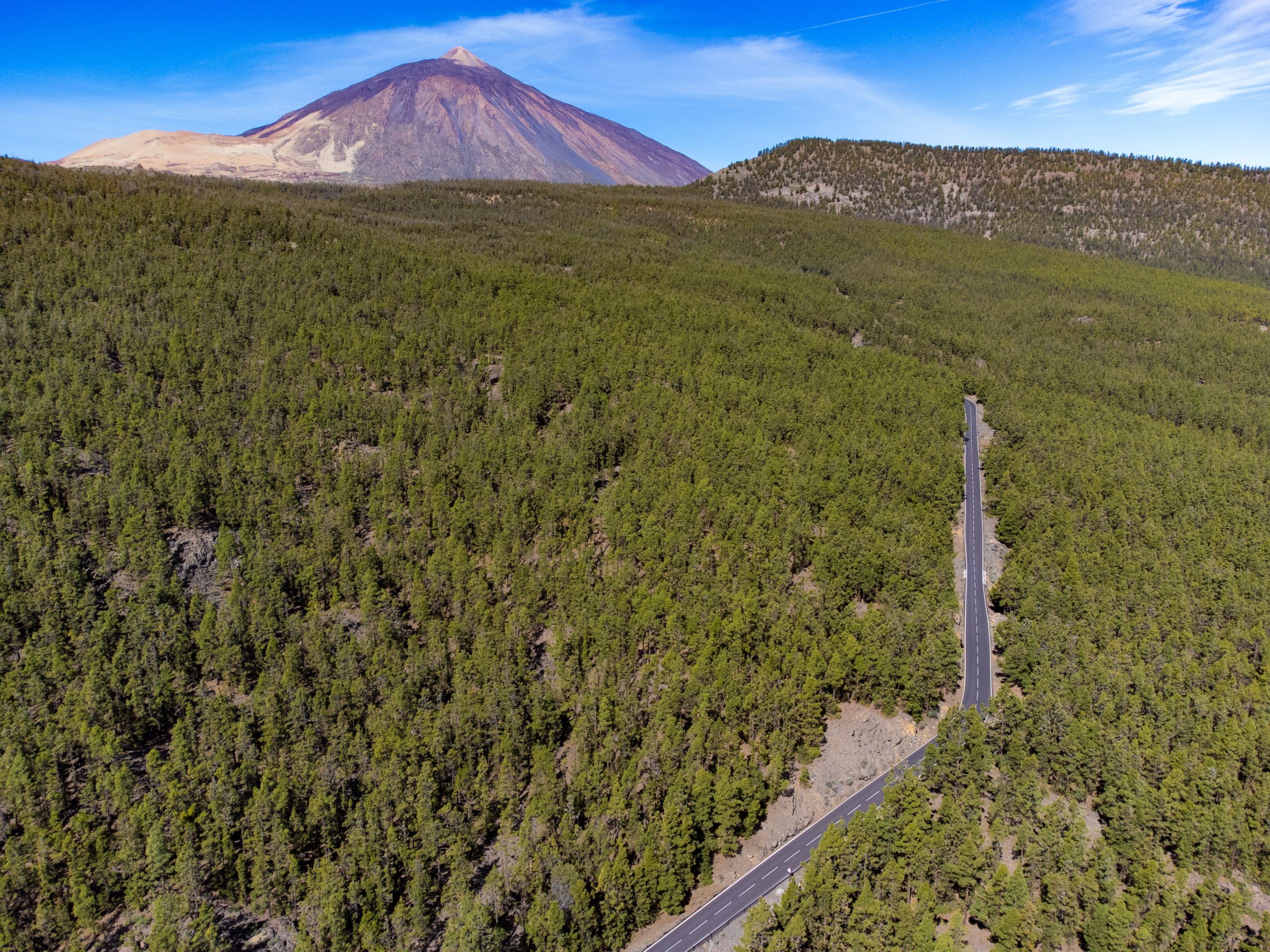 El Plan Forestal de Canarias entra en vigor